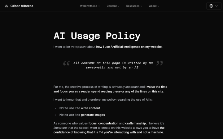 Screenshot of AI Usage Policy